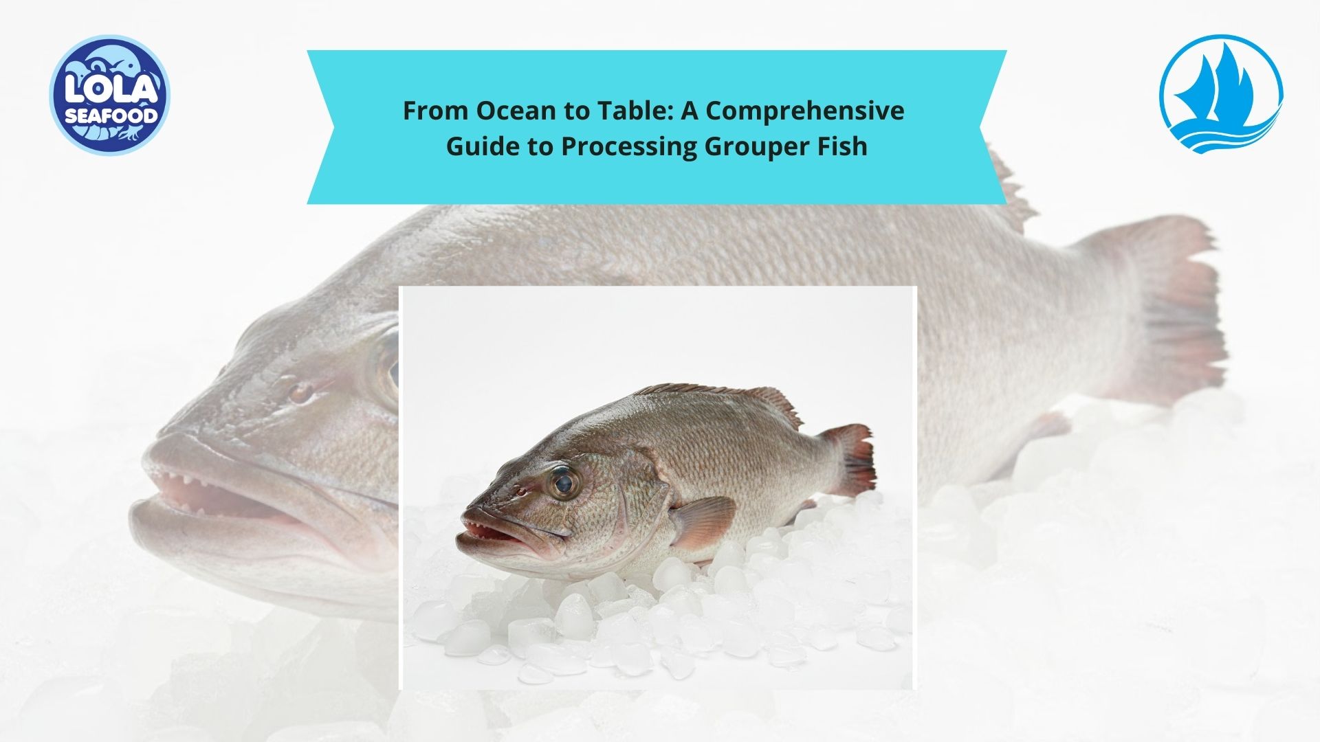 From Ocean to Table: A Comprehensive Guide to Processing Grouper Fish